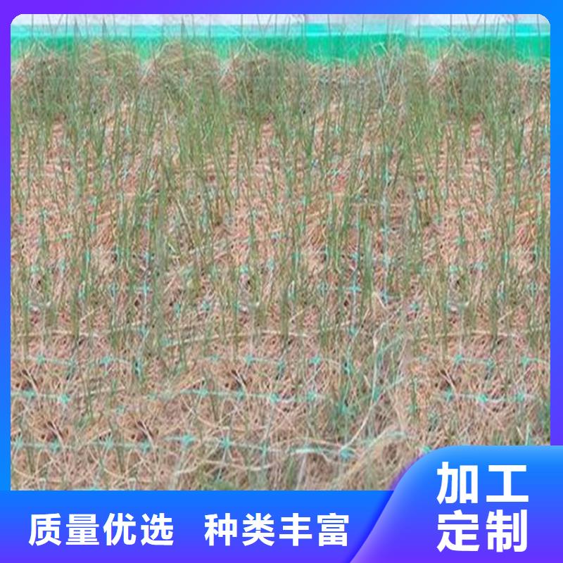 椰纖植生毯加筋抗沖生物毯