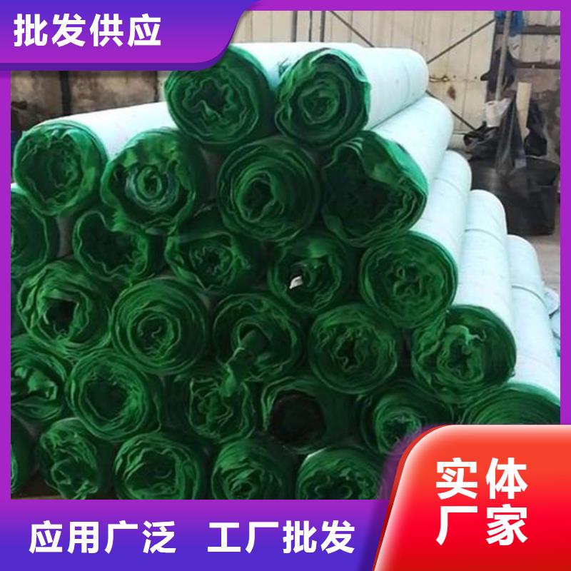 植物生態(tài)防護(hù)毯