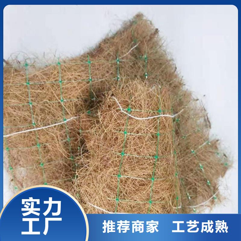 椰纖植生毯加筋抗沖生物毯施工資訊