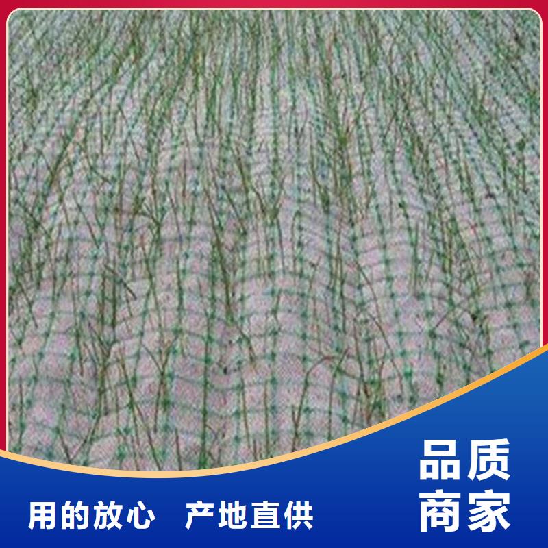 加筋抗沖生態(tài)毯施工隊(duì)伍