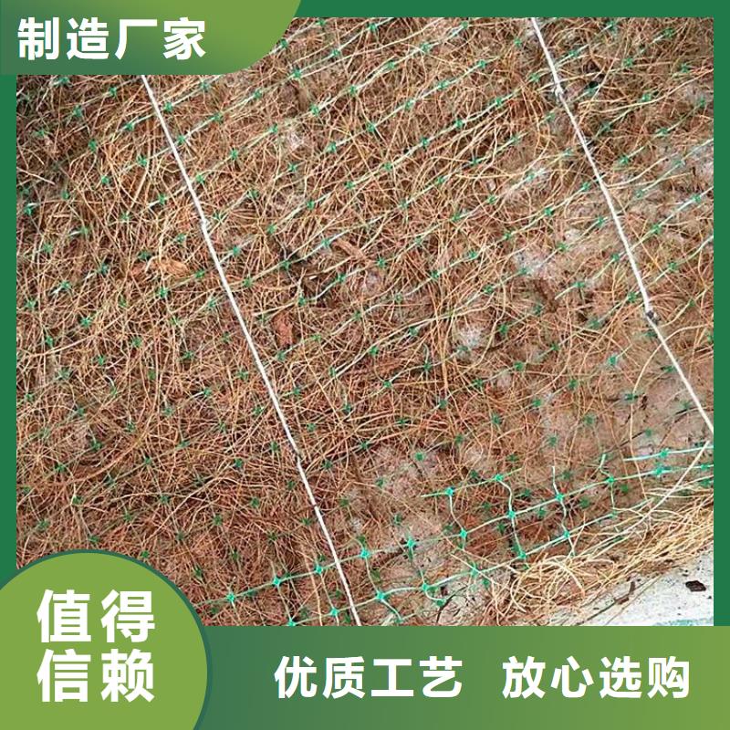 椰纖植生毯詳情介紹