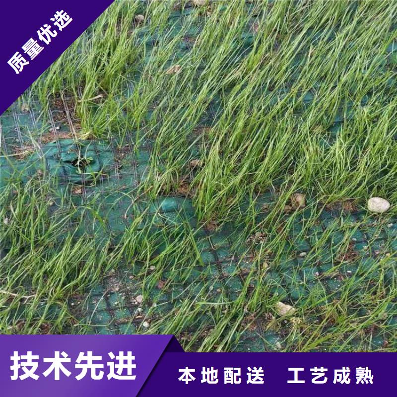 椰丝毯-加筋防冲毯-植被纤维毯