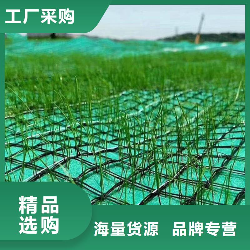 椰丝植物纤维毯-加筋植生毯-加筋复合植草毯