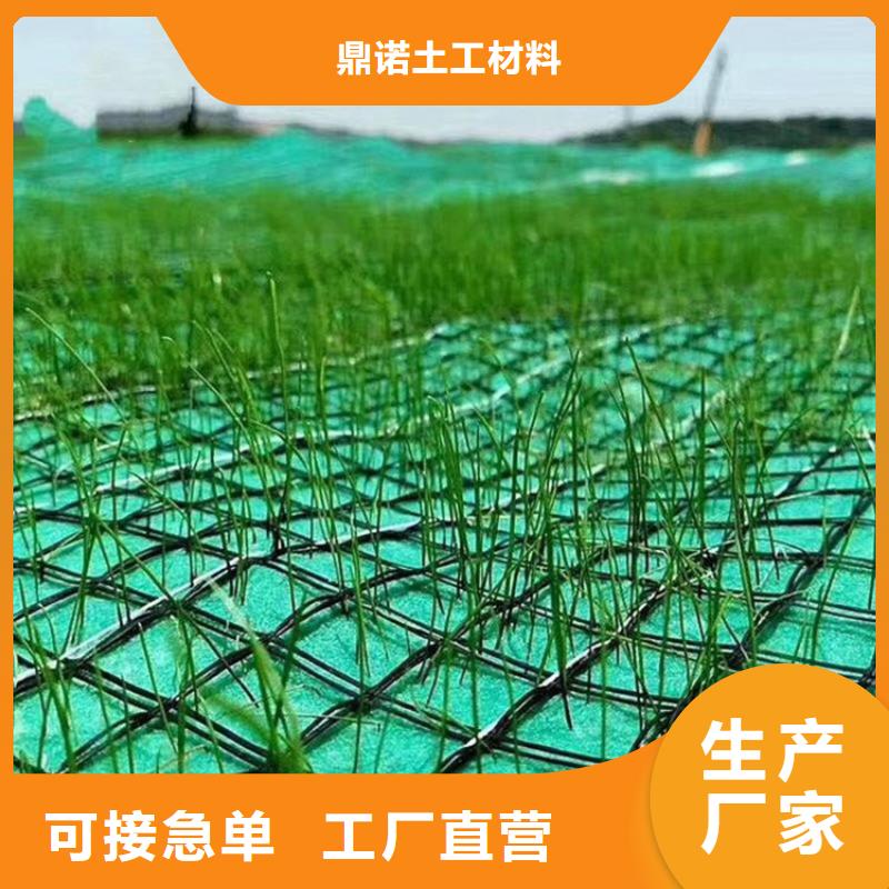 椰丝毯-草籽植生毯-护坡绿化椰丝毯
