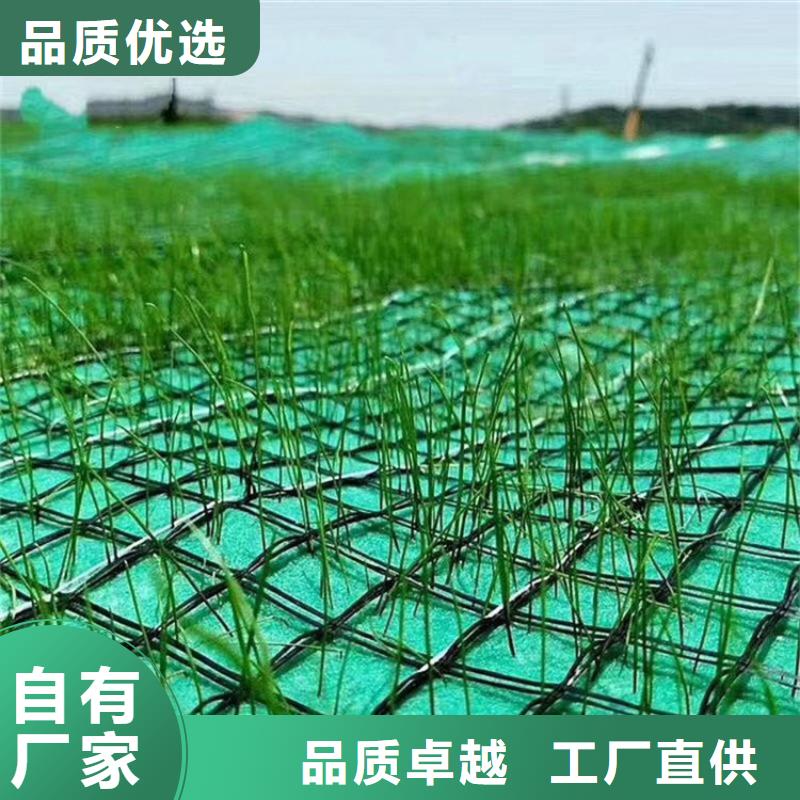 椰丝毯-植草绿化毯-植物纤维草毯