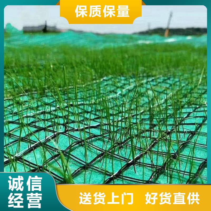 椰丝植生毯-可降解环保草毯