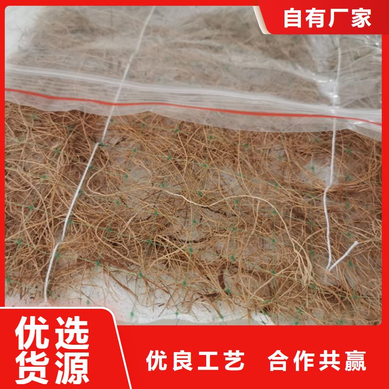 椰丝毯-护坡植生毯-水保加筋椰丝毯