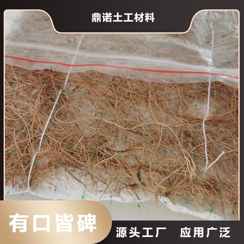 椰纤植生毯护坡植被植草毯