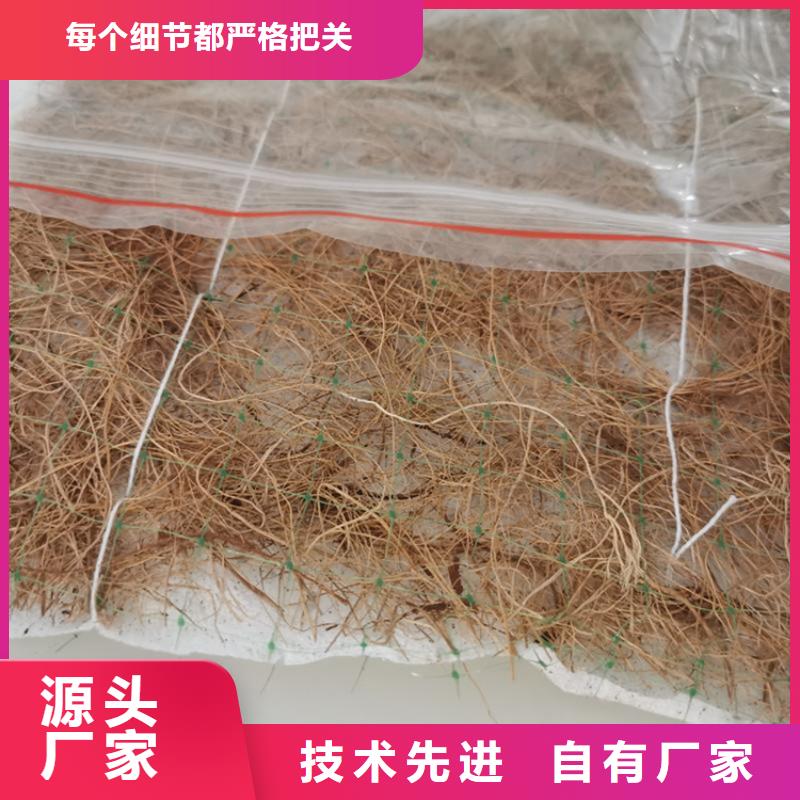 椰丝植生毯-绿化植生毯-椰丝护坡毯