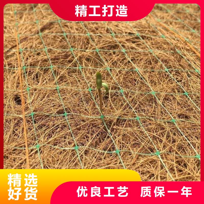 椰丝毯-植物纤维草毯-加筋复合植草毯