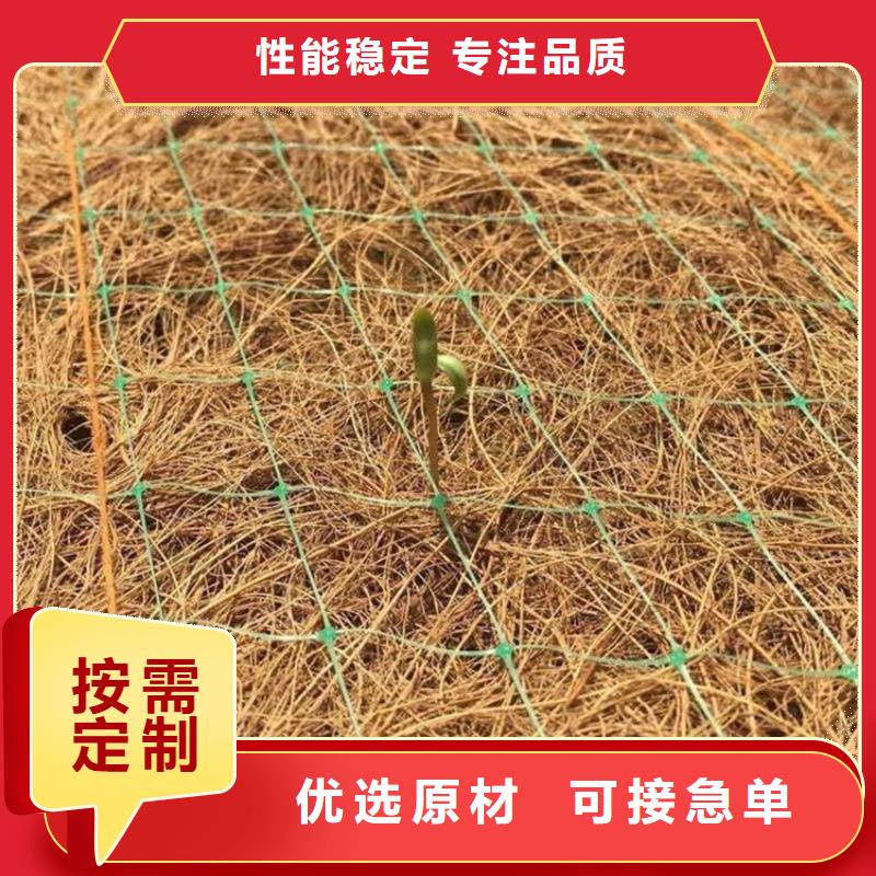 抗冲植物毯-抗冲刷生物毯