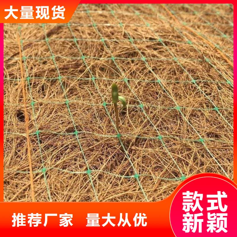 稻草毯-水保植物纤维毯