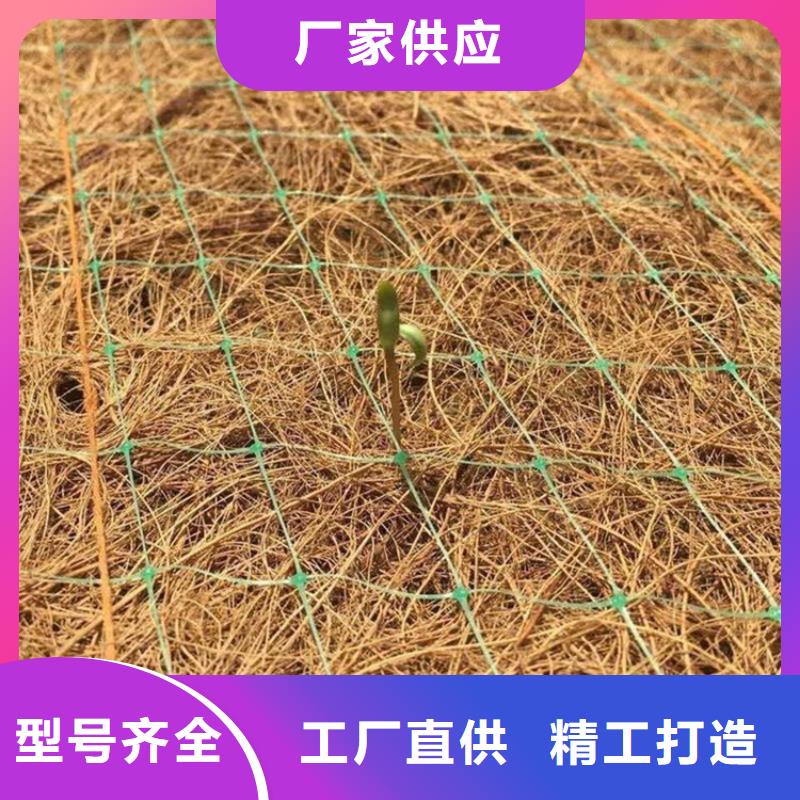 加筋抗沖生物毯-椰纖植生毯廠家-公司代理