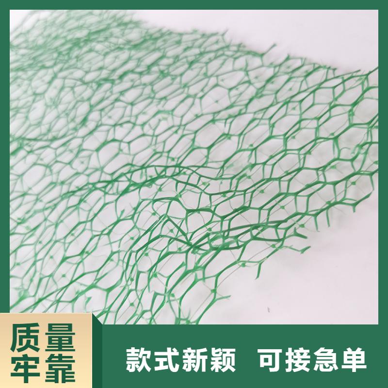 EM4三維護(hù)坡植草網(wǎng)墊代理批發(fā)/哪里有賣的