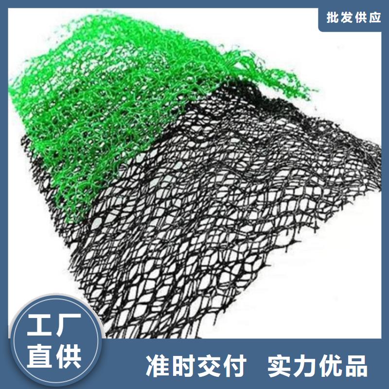 EM2固土三維植被網