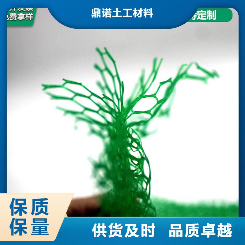 三維植被網(wǎng)防滲膜定制批發(fā)