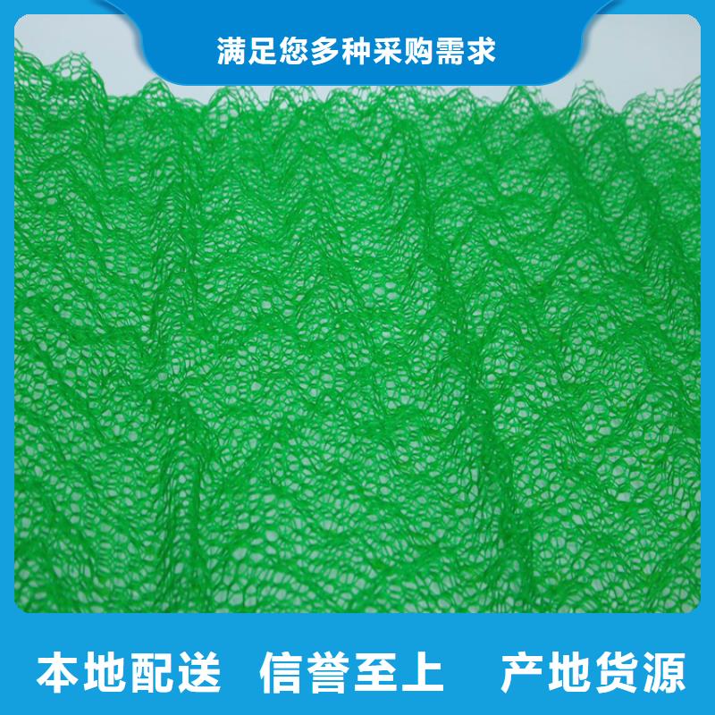 环保绿化三维植被网