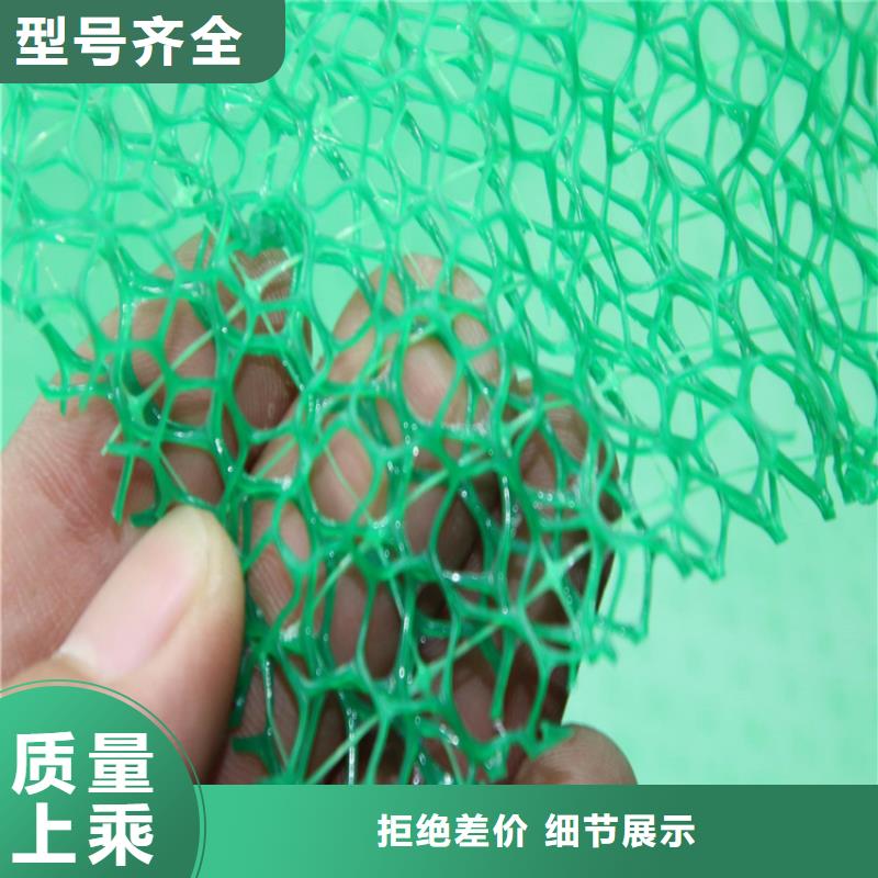 三维植被网-三维土工网垫