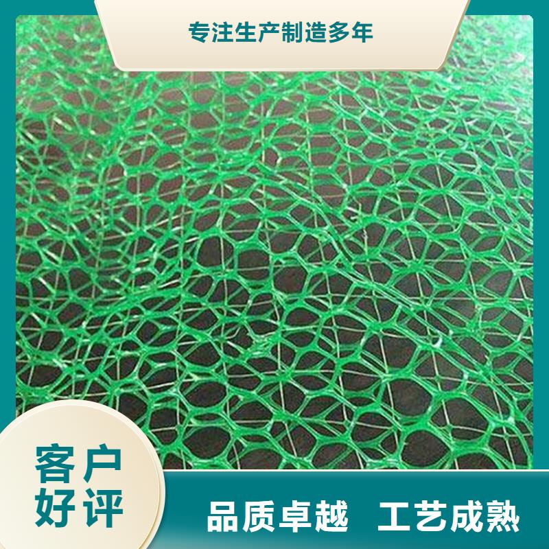 三维土工网垫-EM4三维护坡植草网垫