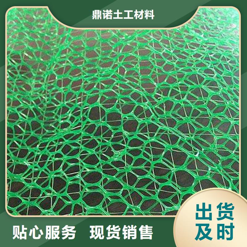 三维植被网-EM4三维固土网垫
