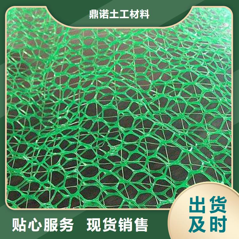 三维固土网垫EM5三维护坡植草网垫