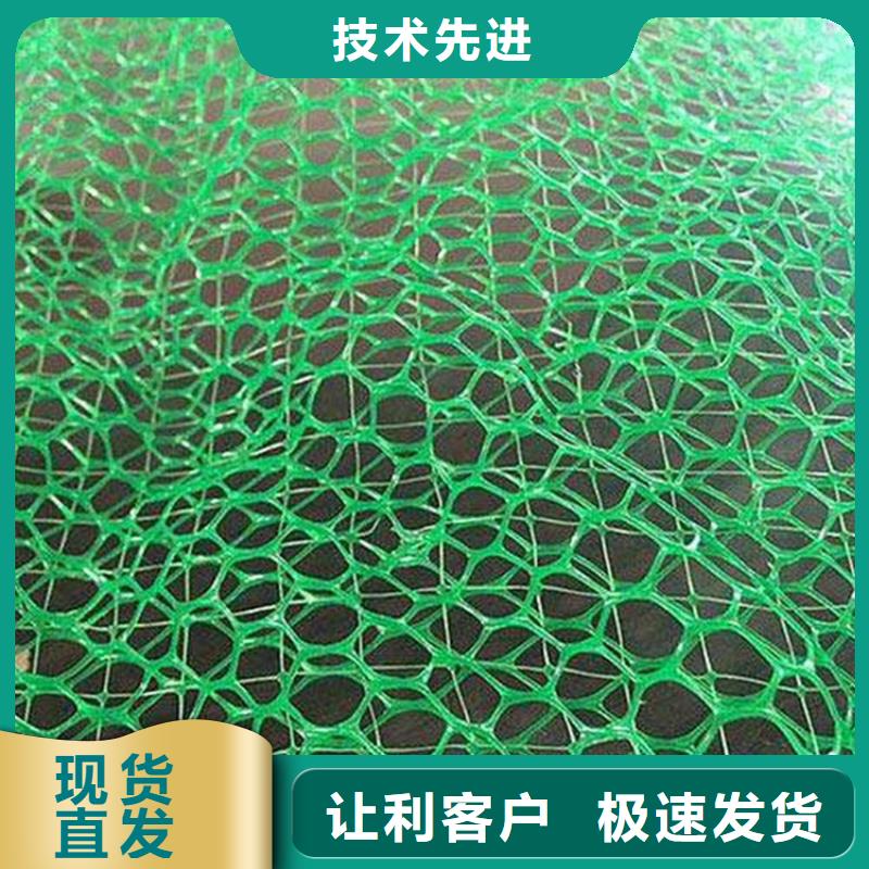 EM5三维加筋网垫-护坡三维土工网垫