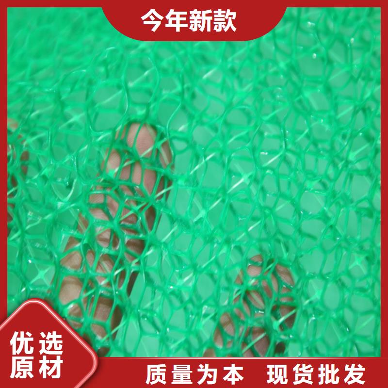 塑料EM2三维植被网