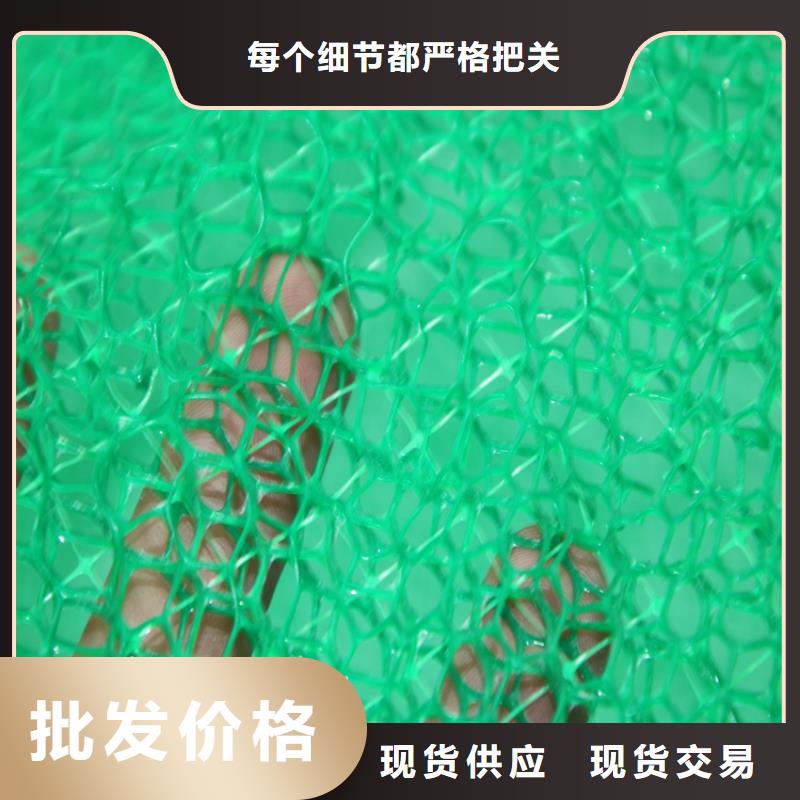 塑料EM2三维土工网垫