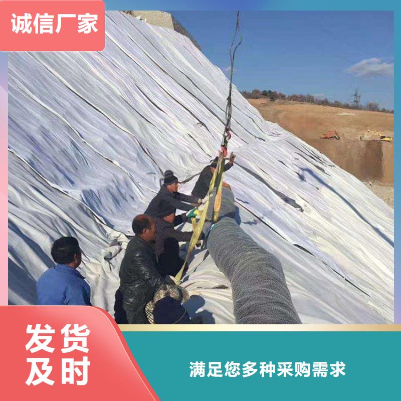 膨潤土防水毯【鋼塑土工格柵】專注細節更放心