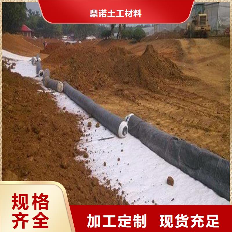 膨潤土防水毯【滌綸格柵】規(guī)格齊全實力廠家