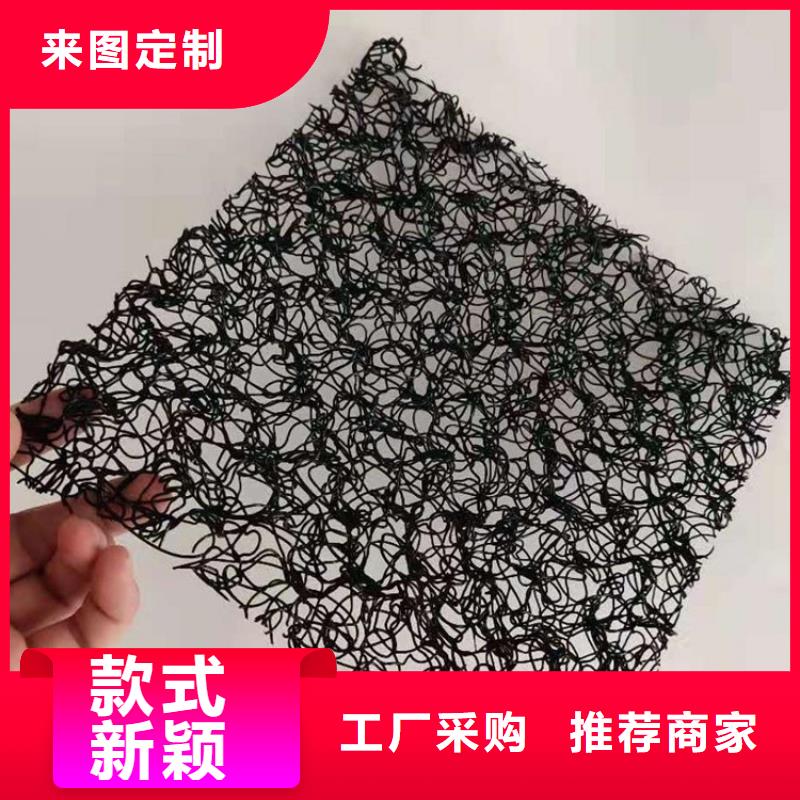 水土保护毯土工格栅口碑好实力强