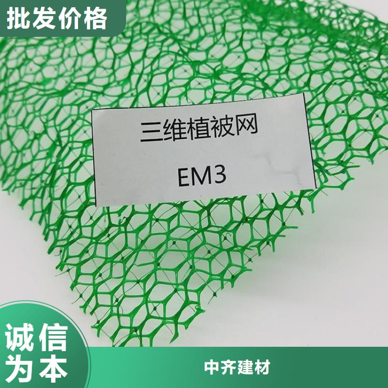 三維護(hù)坡植被網(wǎng)墊#EM2綠化