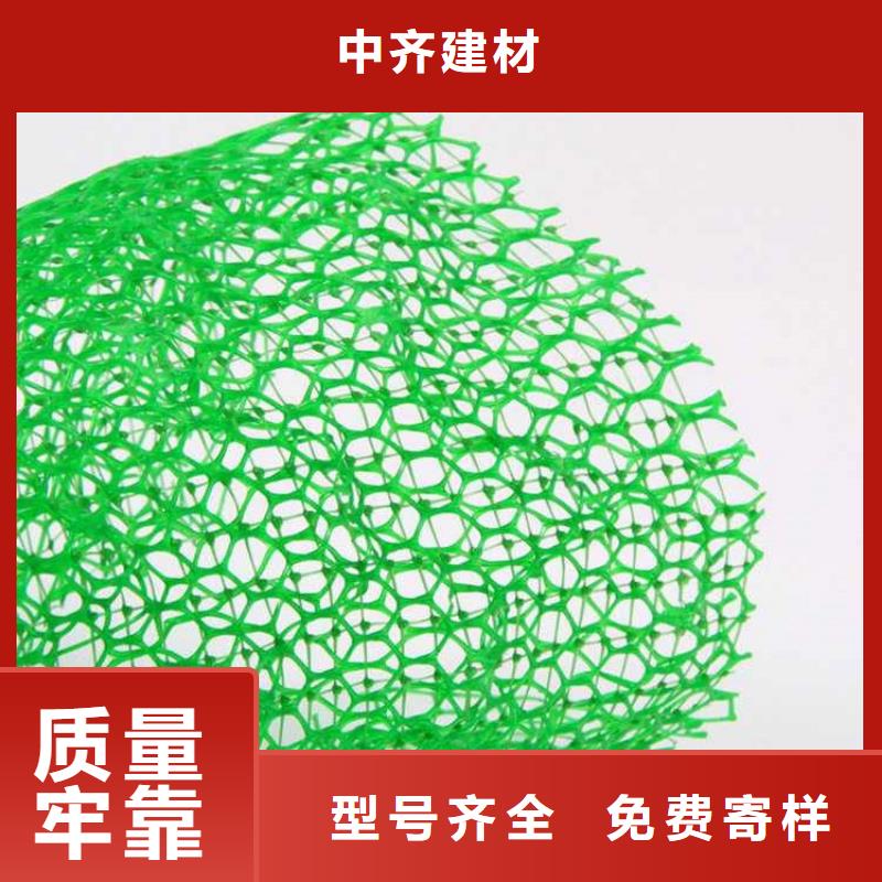 三維植被網(wǎng)-護(hù)坡三維植被網(wǎng)