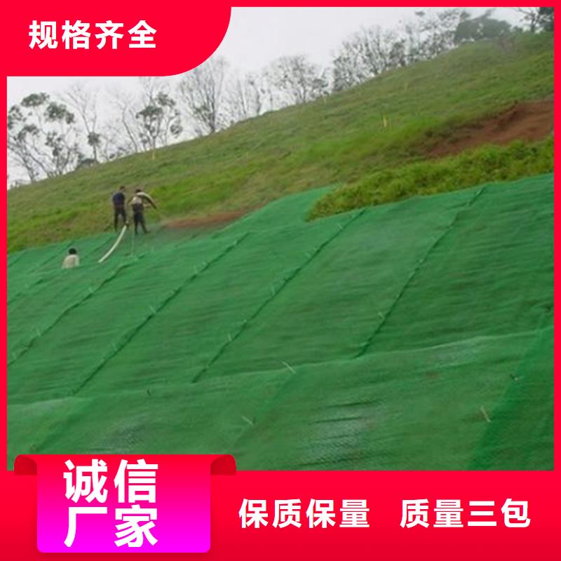 三维植草护坡网垫-边坡三维土工网垫