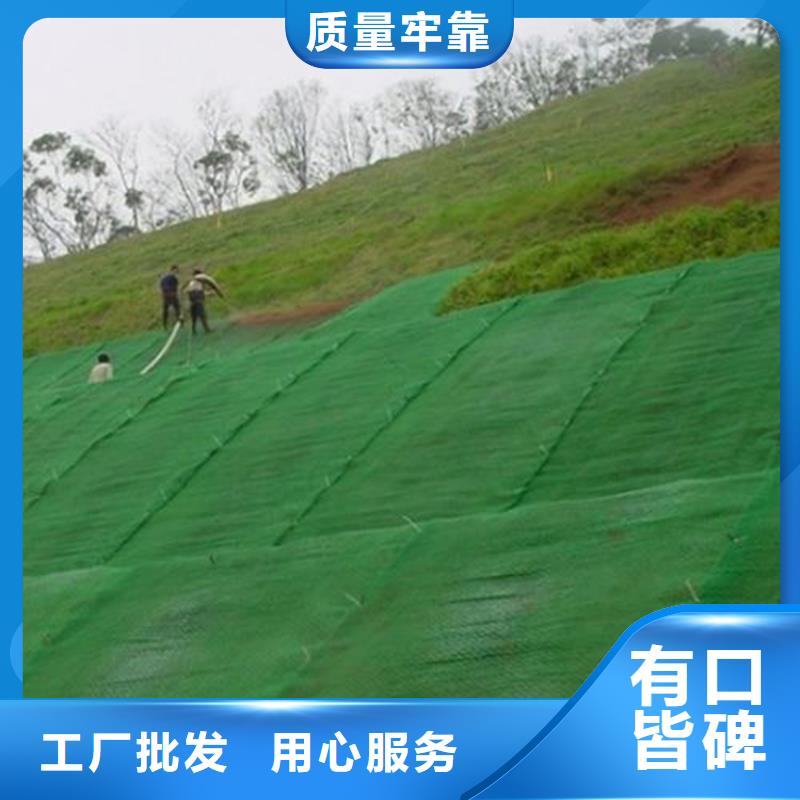 护坡加筋网垫-边坡三维土工网垫型号颜色