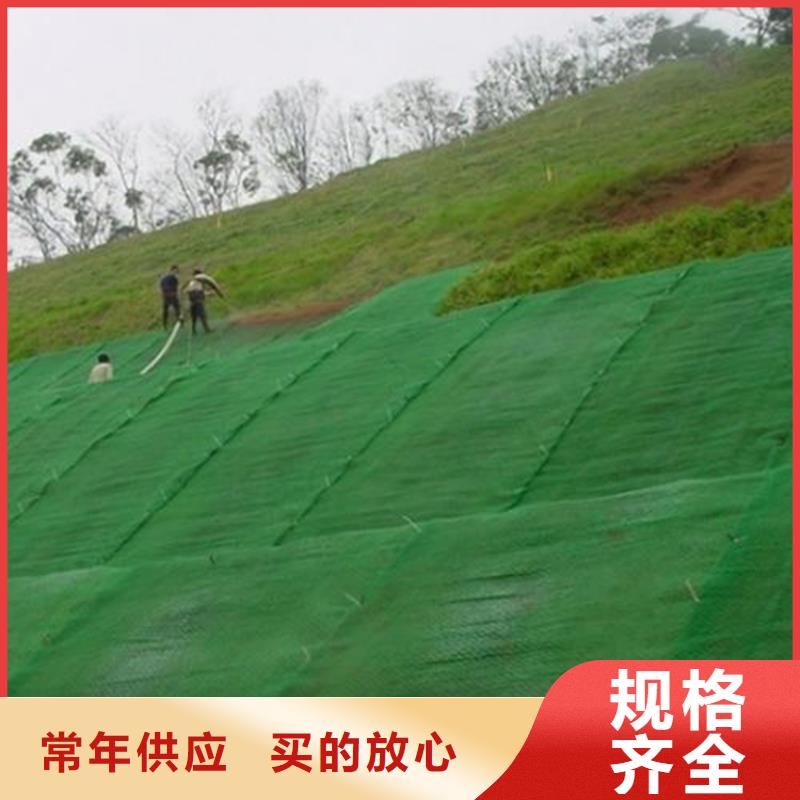 三维植草护坡网垫-4层5层三维植被网厂家-价格更新