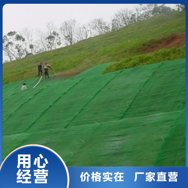 三维固土网垫-2层3层三维植被网