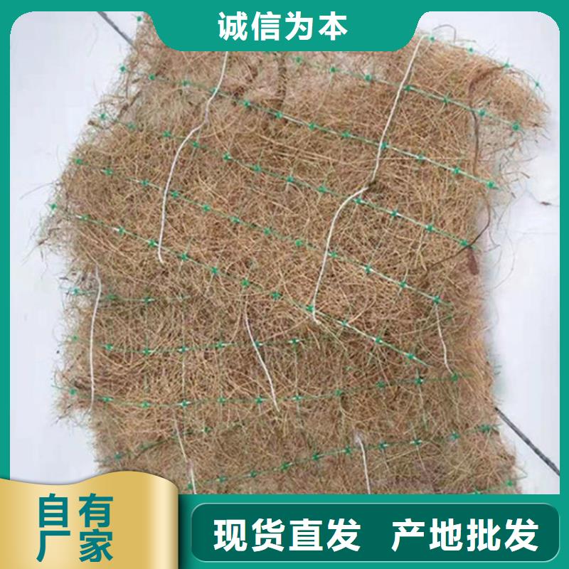 加筋抗沖生態毯植生毯土工布