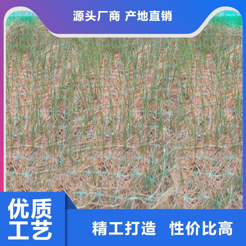 澳門植物纖維毯-生態(tài)環(huán)保草毯可定制