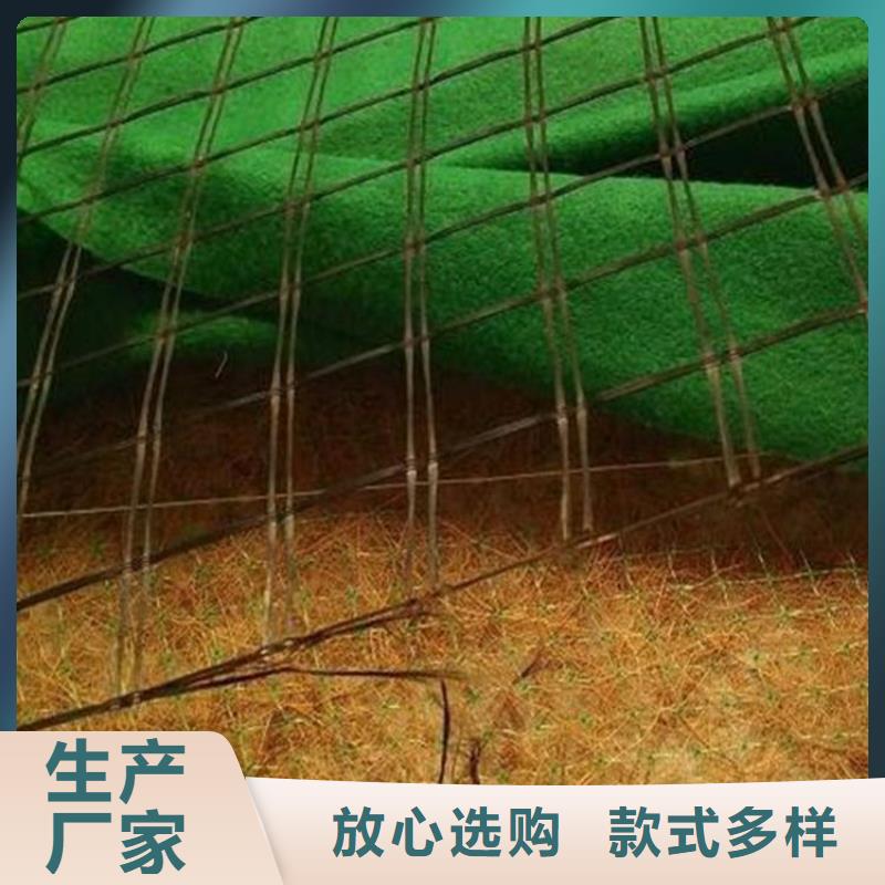 植物生態(tài)防護(hù)毯-加筋抗沖生態(tài)毯