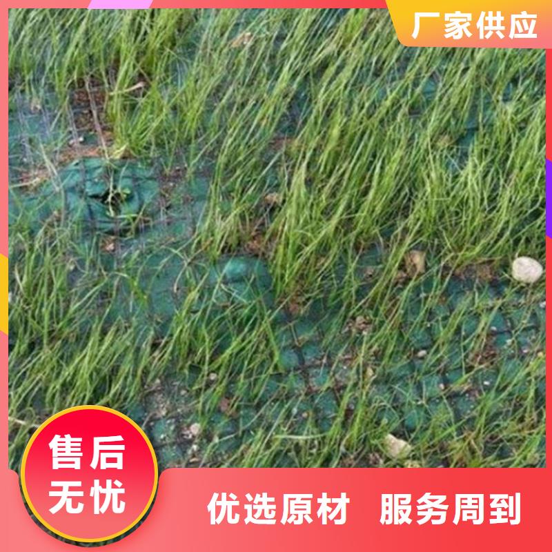 椰纖植生毯-植物生態防護毯公司-代理