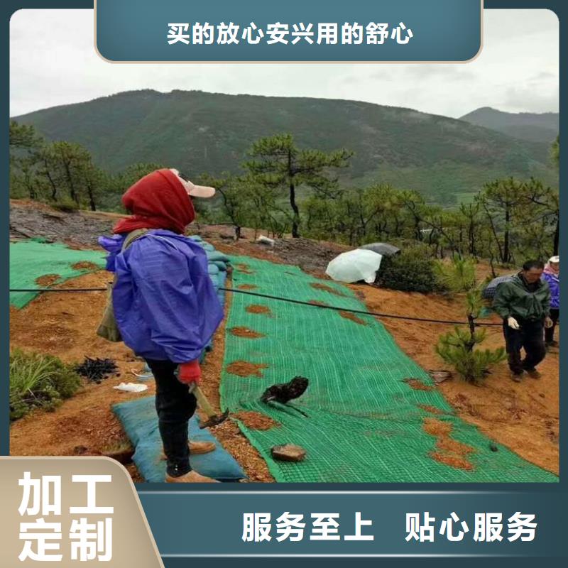 香港礦山植生毯椰絲護(hù)坡毯