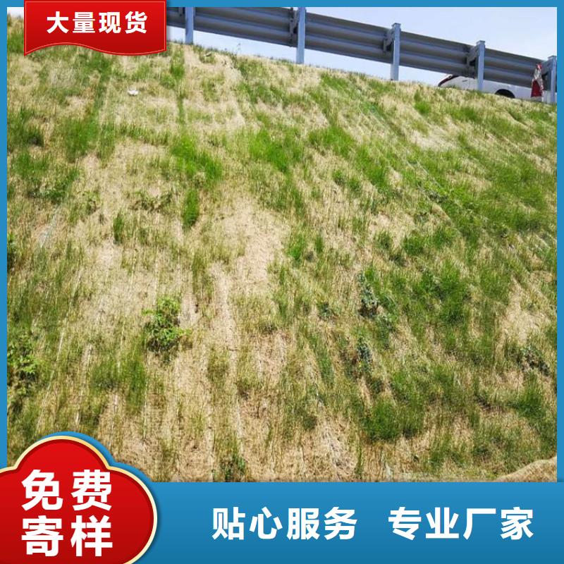 植生椰絲毯公司新聞已更新