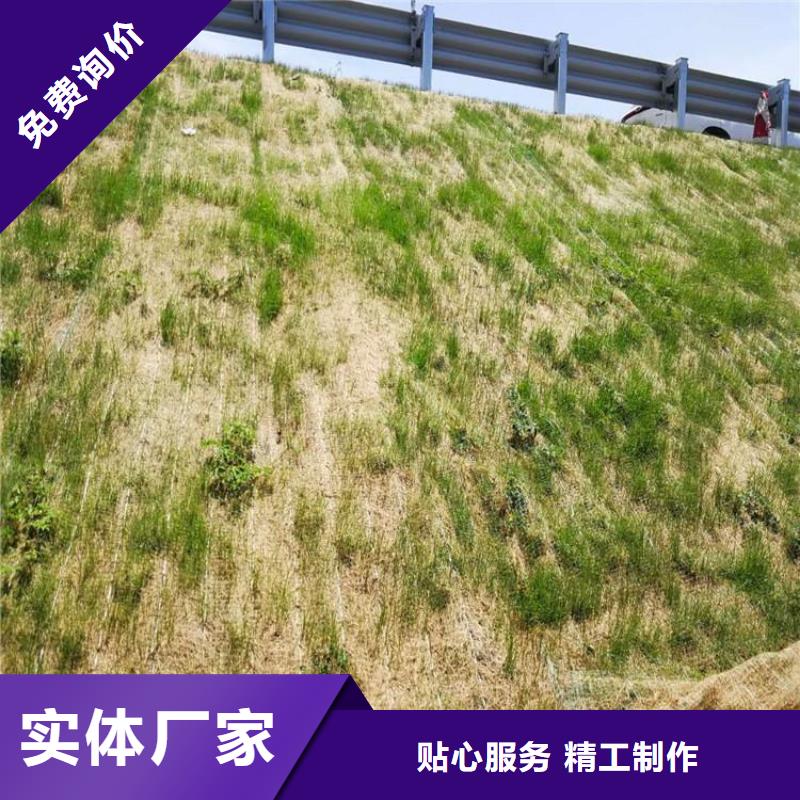 加筋抗沖生態(tài)毯公路植生毯