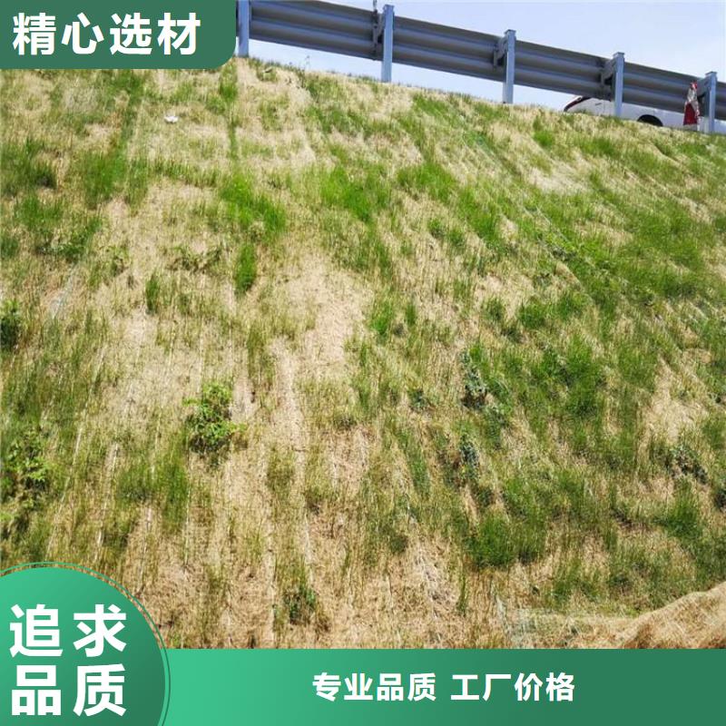 邊坡植物防護(hù)毯新聞