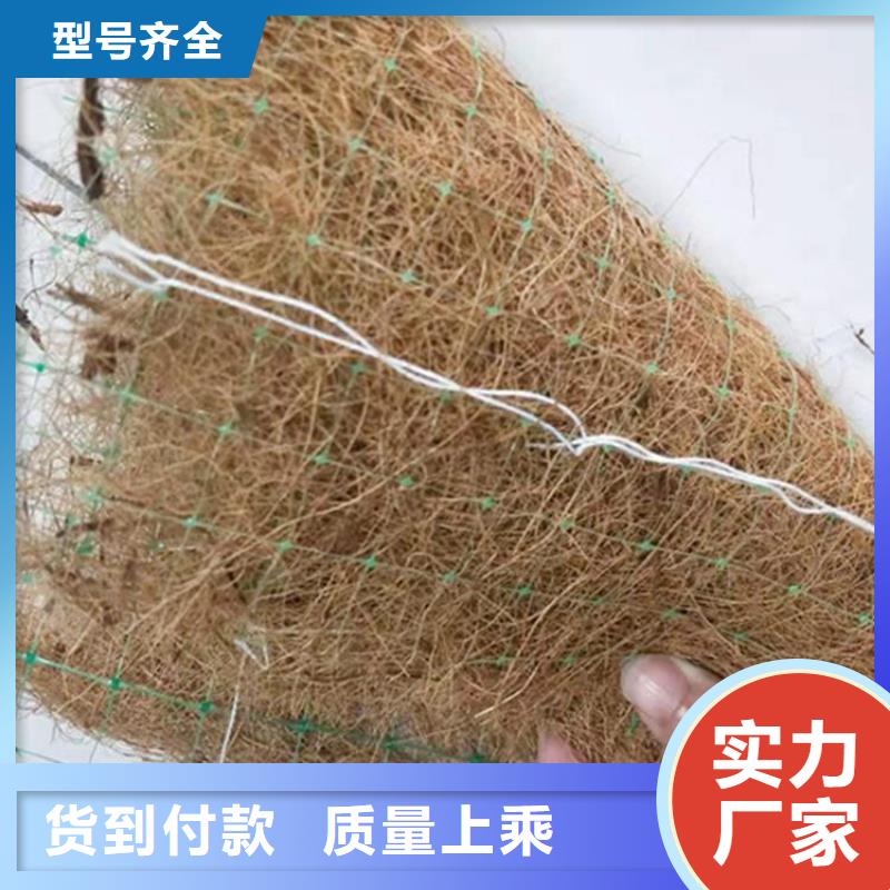 椰丝植物毯实体厂家