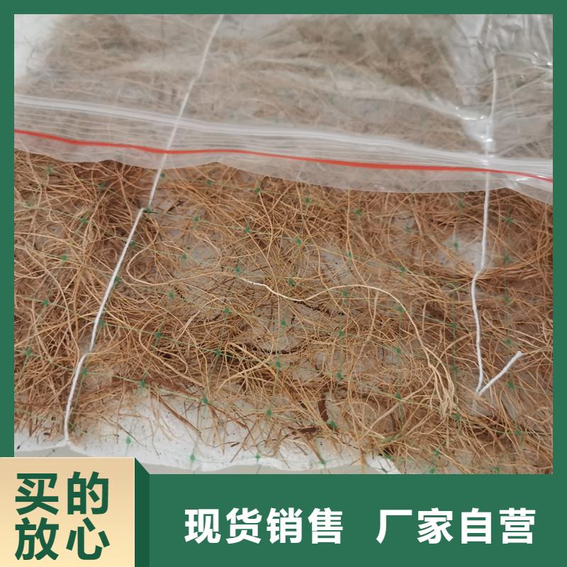 護坡植被植草毯-植物生態(tài)墊