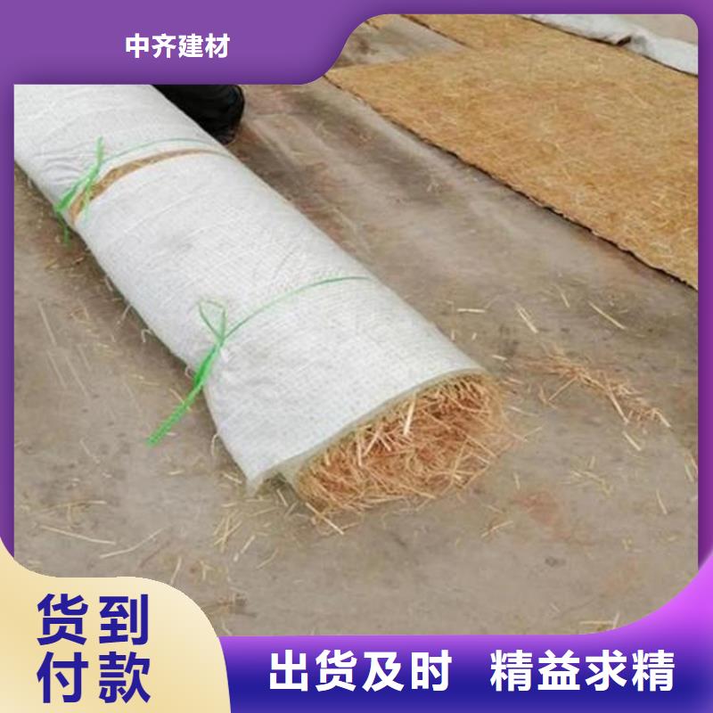 綠化生態(tài)毯-椰絲護(hù)坡毯