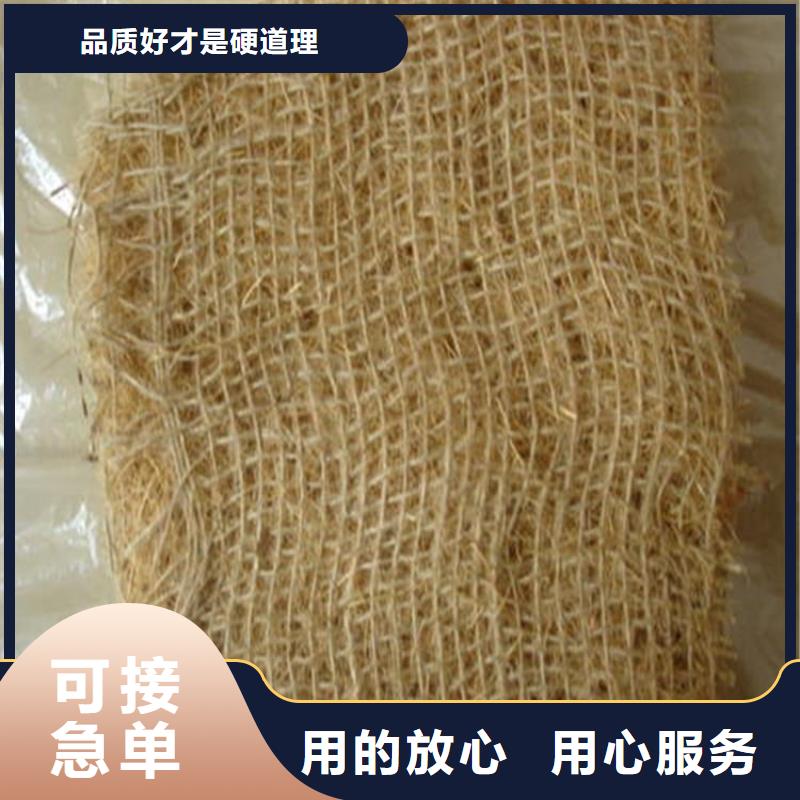 植物生態(tài)防護(hù)毯-加筋抗沖生態(tài)毯