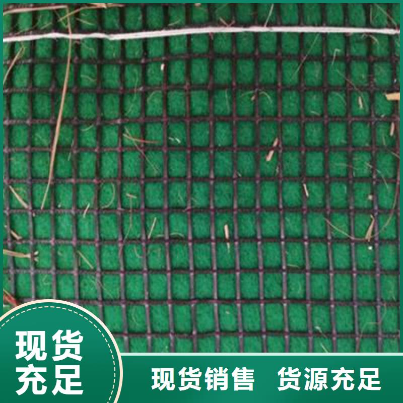 植物生態(tài)防護(hù)毯-加筋抗沖生物毯